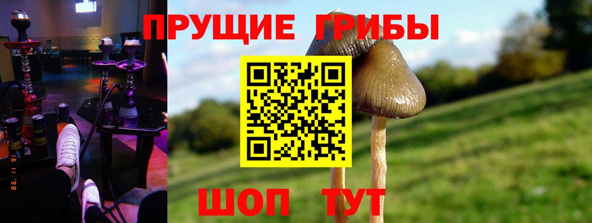 Псилоцибиновые грибы мухоморы Сыктывкар