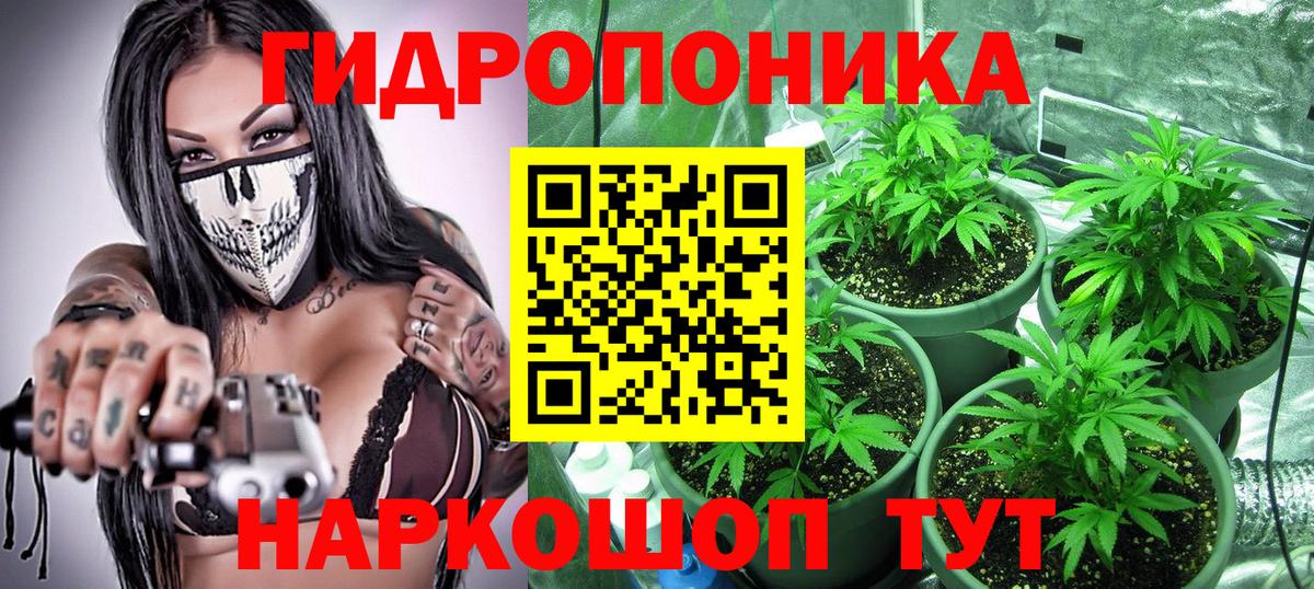 Каннабис OG Kush  Бошки Шишки AK-47  Каннабис AK-47  Вход с VPN  Марихуана THC 21%  Сыктывкар 